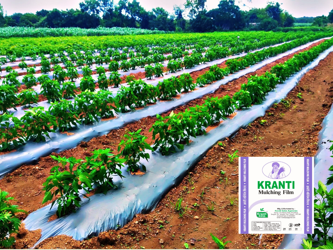 Kranti Mulching Film